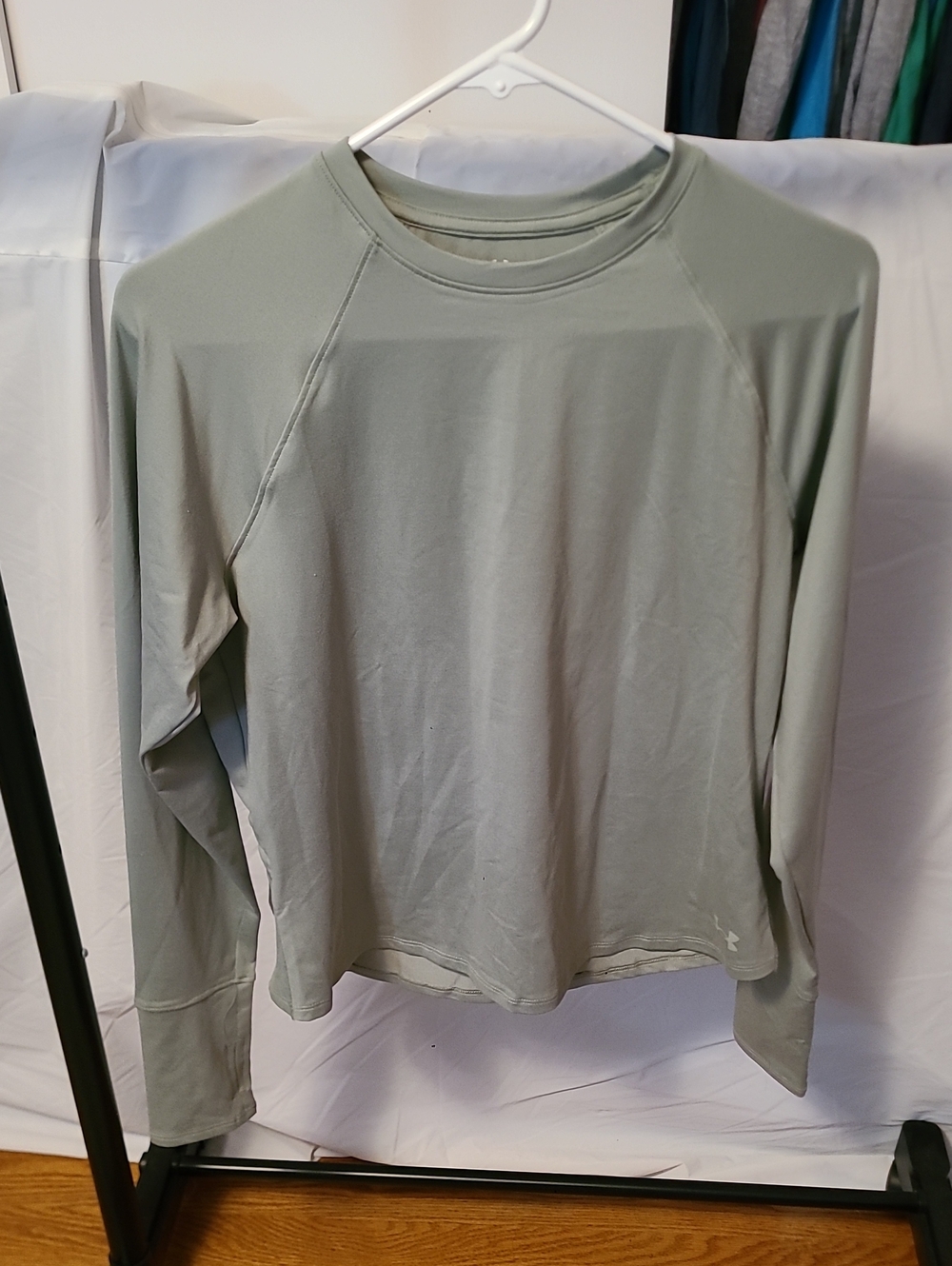 Under Armour Women's Long-Sleeve Performance Tee - Light Sage Green